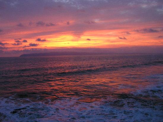 Venus Surf Adventures