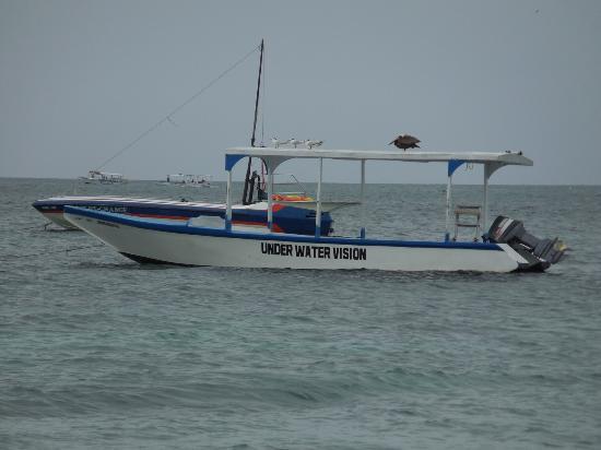 Ray's Watersports