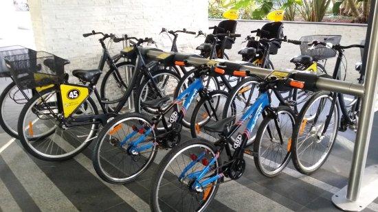 Spinway Gold Coast Bike Hire
