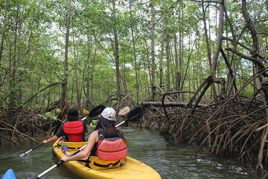 Mangrove Monkey Land & Rafting