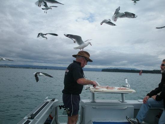 Fat Boy Charters