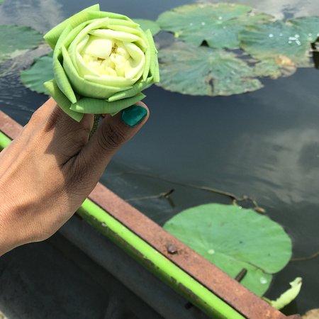 Ceylon Pearlwing Travels