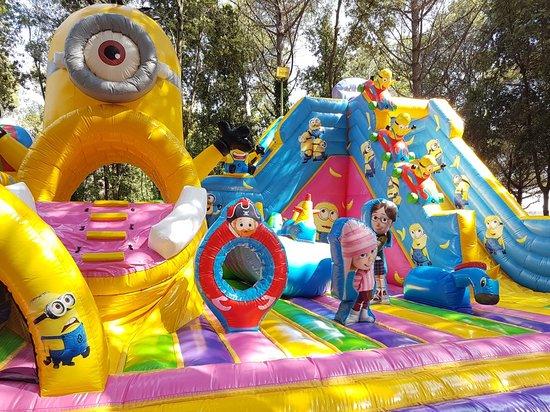 Bimbolandia
