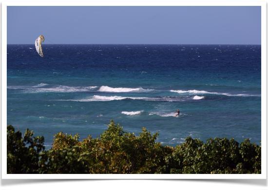 Kiteboarding Jamaica