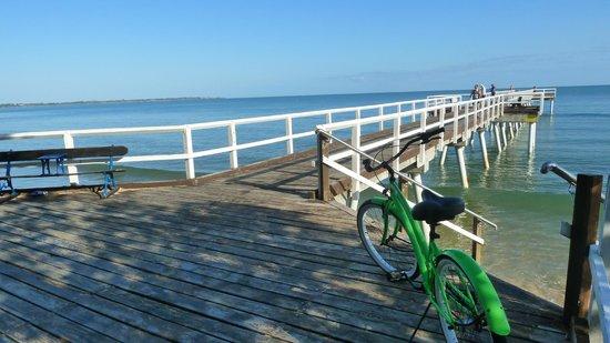 Beach n Cruisers Unique Bike Hire