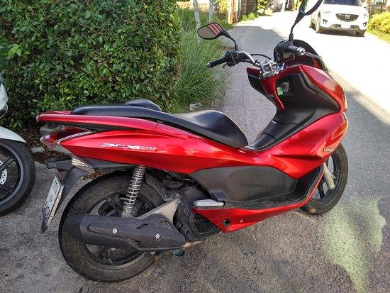 Ploy Motorbike For Rent