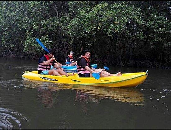 Mangrove Kayaking