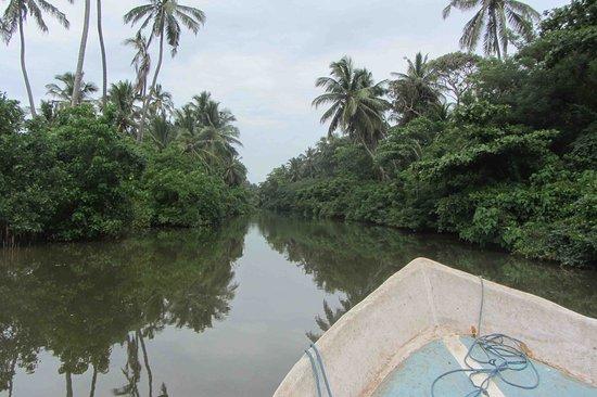 Waterland Villa Boat Tour