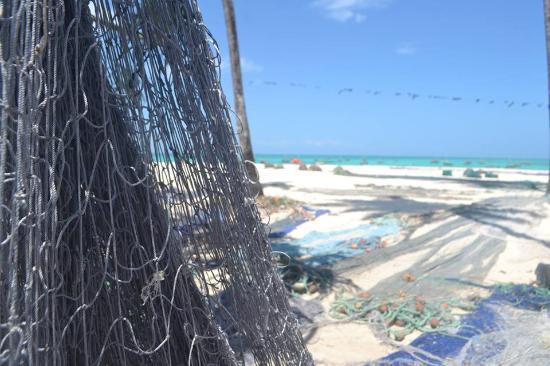 Zanzibar Hidden Adventures