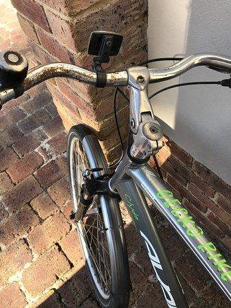 Gecko Bike Hire