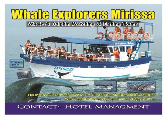 New Mirissa Whale Explorers