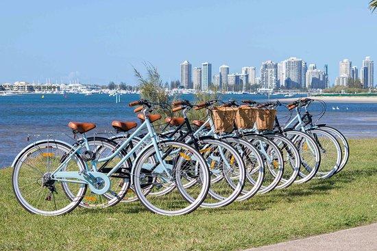 Cheap As Bike Rentals