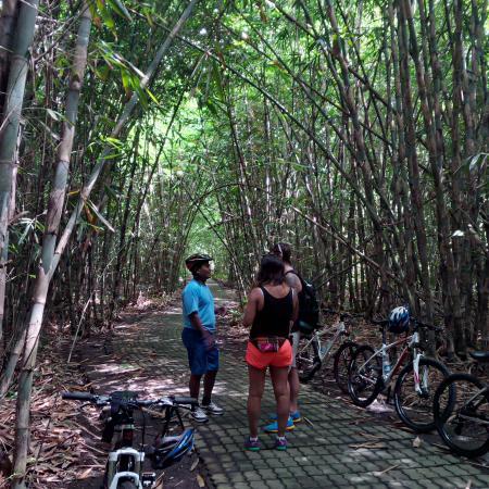 Ubud Adventures