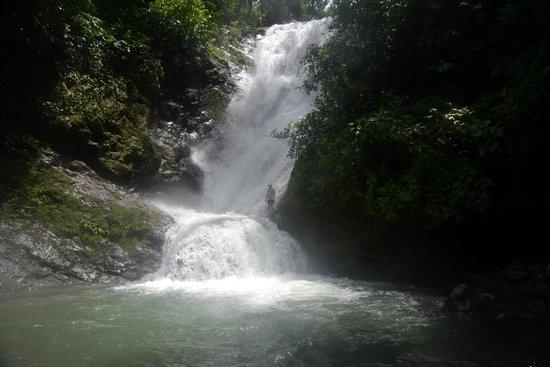 Jungle Tours Costa Rica