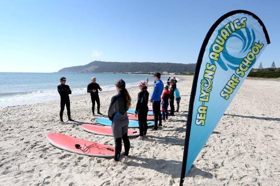 Sea-Lyons Aquatics Surf School