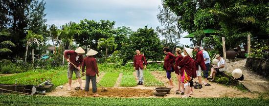 Hoian Rural Eco - Day Tours