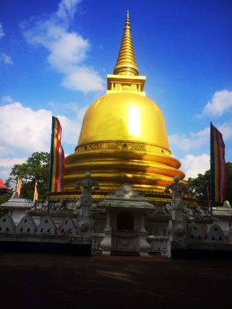 Colombo Tours