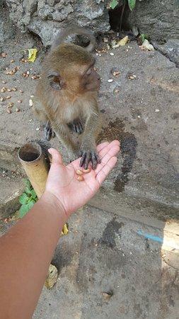 Phuket Raina Tour