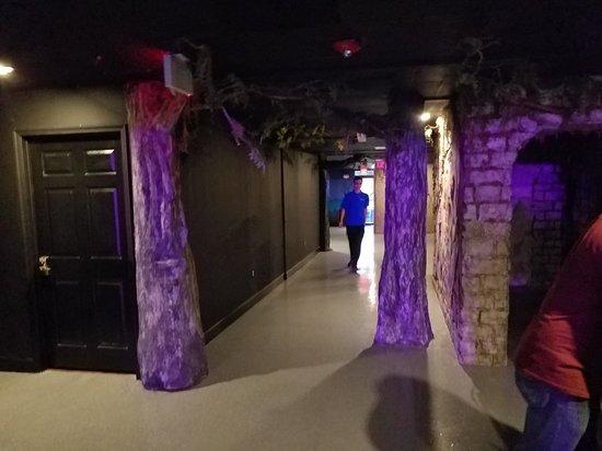 Evolution Escape Rooms