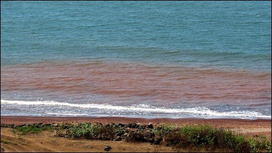 Tamastirth Beach