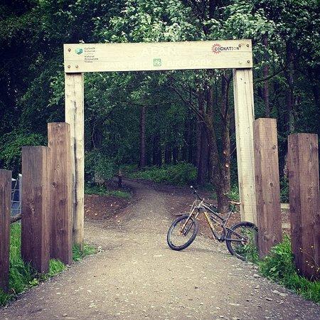 Afan Forest Park Mtb Trails