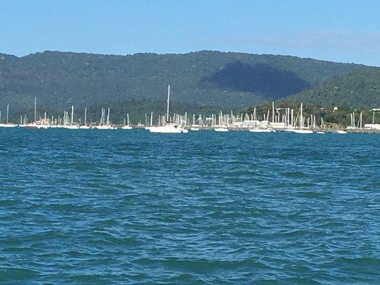 Aqua Bus Tours Airlie Beach
