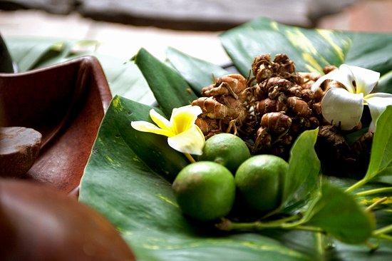 Djamoe Herbal Drinks Class