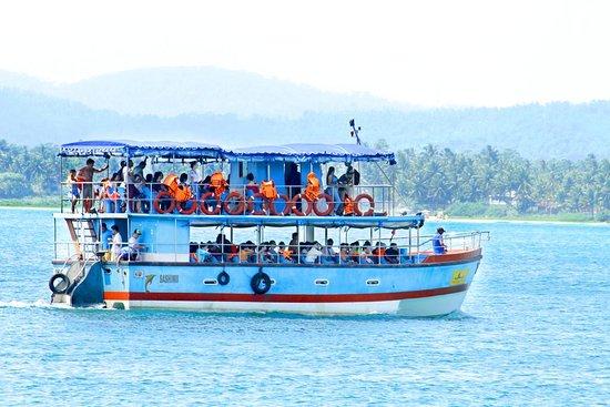 Jaga Boat Whale Watching