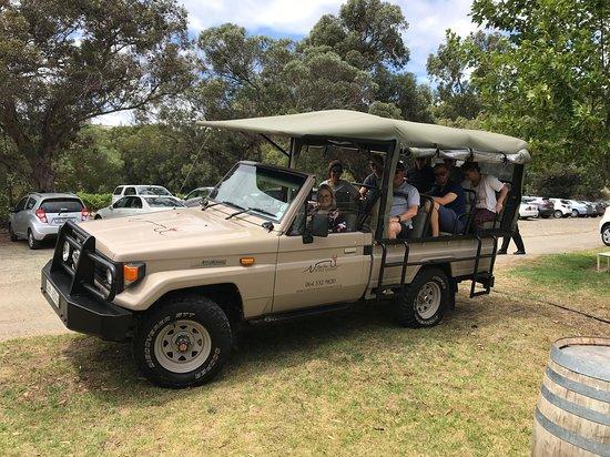 Cape Town Wine Safaris