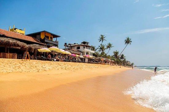 Hikkaduwa Taxi Tours