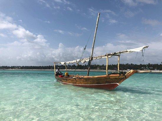 Zanzibar Bliss