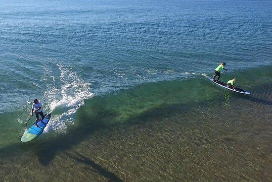 Enviro-Reefs Paddle and Surf School