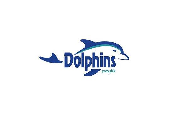 Dolphins Yacht