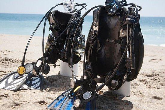 Aura Divers