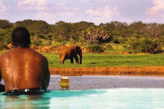 Beach & Safari Company