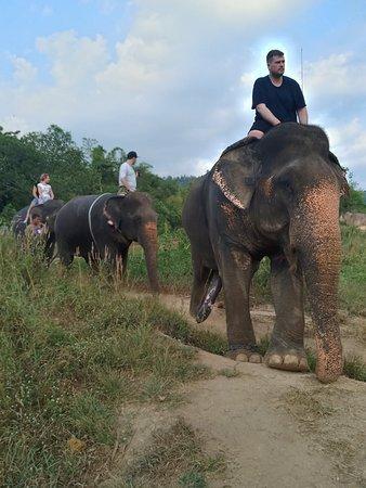 Aonang Elephant Park