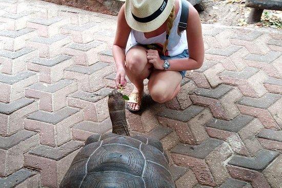 Zanzibar Transfers & Tours