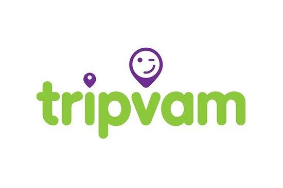 tripvam Sunny Beach