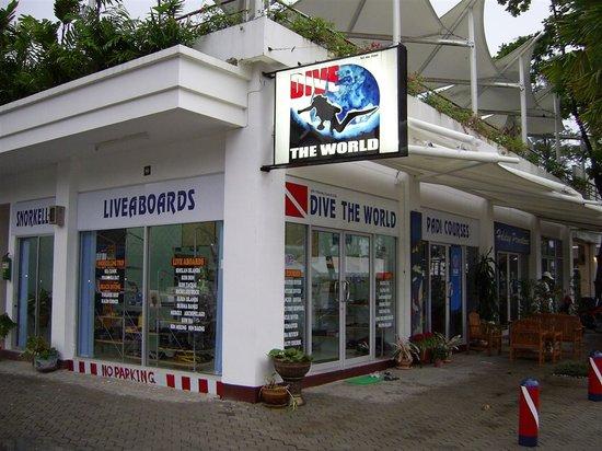 Dive The World