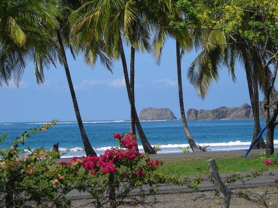 Jesse's Samara Beach Surf School