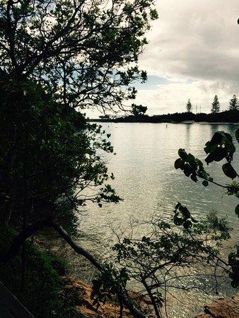 Burleigh Head National Park
