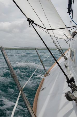 Life's Aquatic Boat Charters