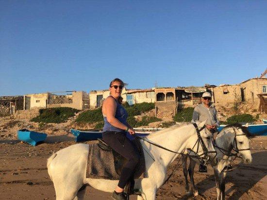 Horses Agadir Ranch Acienda