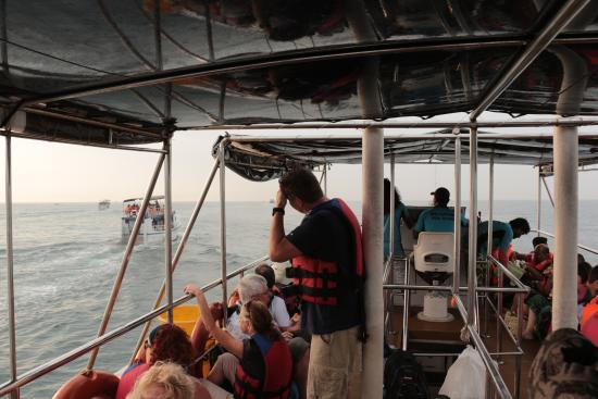 Speed Liner