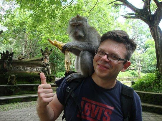 Smart Bali Tours