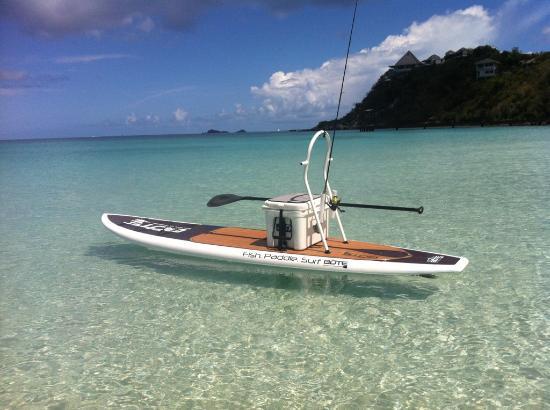 Caribbean Fly Fishing Company Day Tours