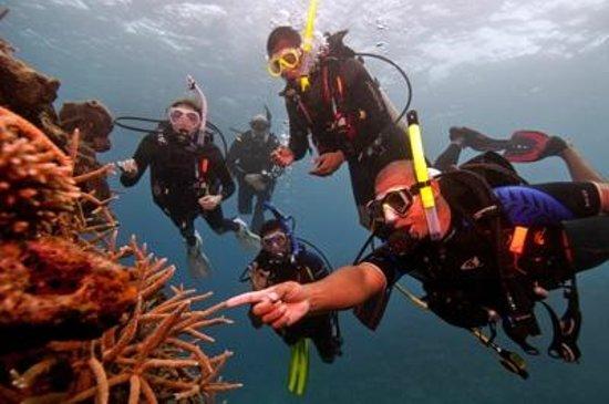 Phuket Dive Shop