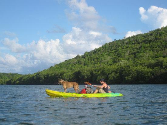 Aqua Frenzy Kayaks