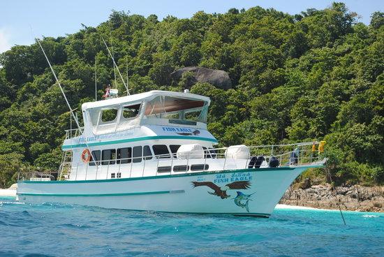 Fish Eagle Sportfishing