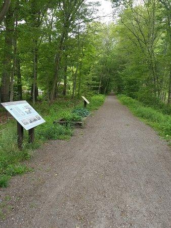 Salisbury Rail Trail